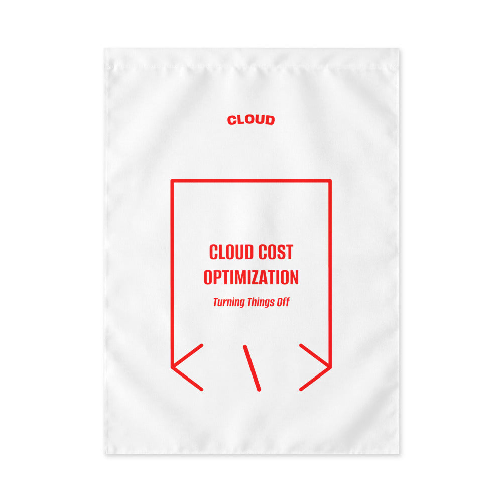Cloud Cost Optimization — White Red back mockup