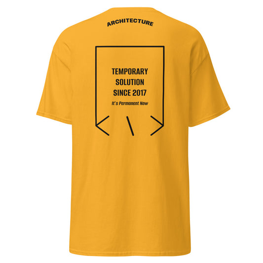 Temporary Solution Since 2017 — secondary back mockup