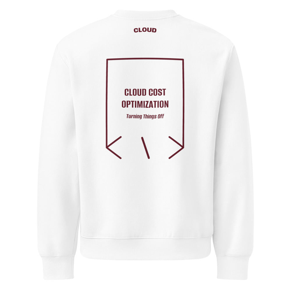 Cloud Cost Optimization — White Maroon back mockup