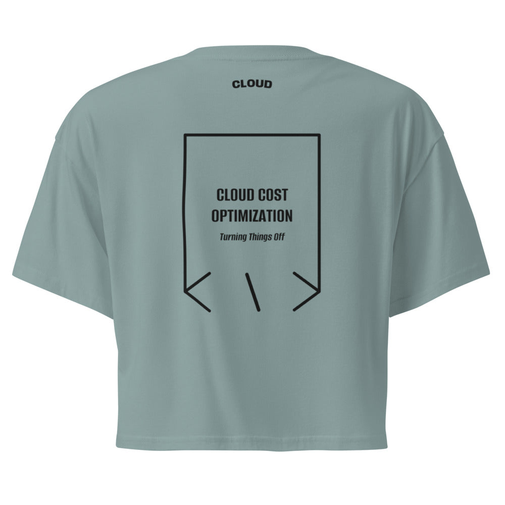 Cloud Cost Optimization — secondary back mockup