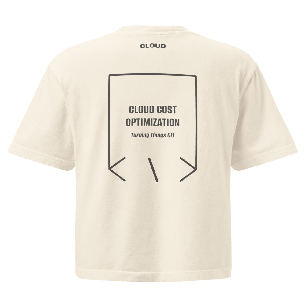 Cloud Cost Optimization — secondary back mockup