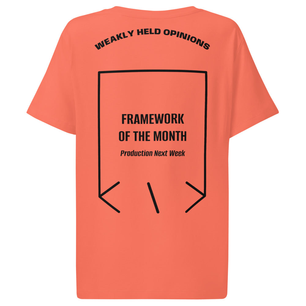 Framework Of The Month — Fiesta Black back mockup